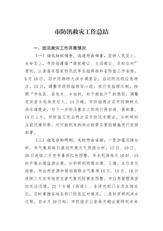 市防汛救灾工作总结