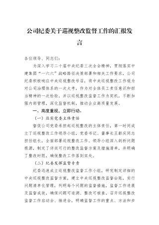 公司纪委关于巡视整改监督工作的汇报发言