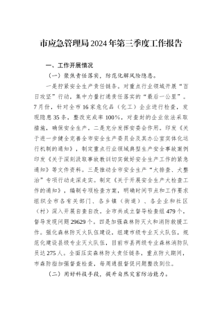 市应急管理局2024年第三季度工作报告