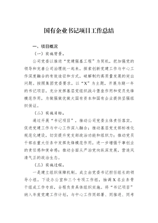 国有企业书记项目工作总结