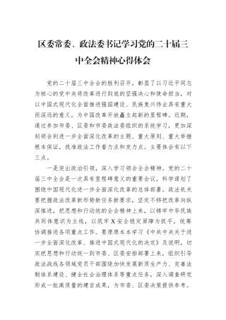 区委常委、政法委书记学习党的二十届三中全会精神心得体会
