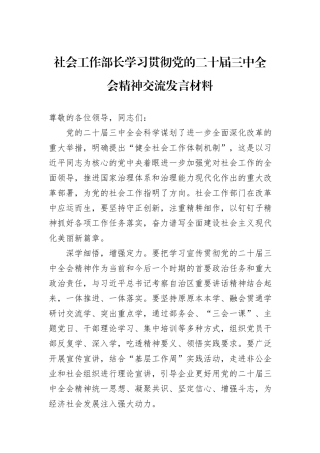 社会工作部长学习贯彻党的二十届三中全会精神交流发言材料