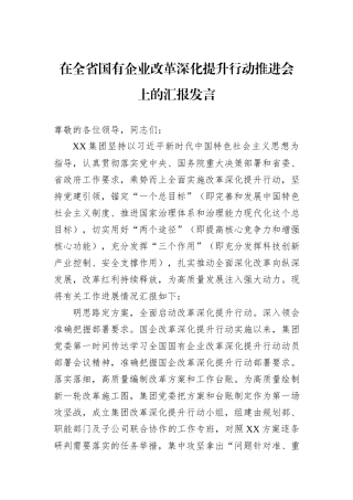在全省国有企业改革深化提升行动推进会上的汇报发言20240905