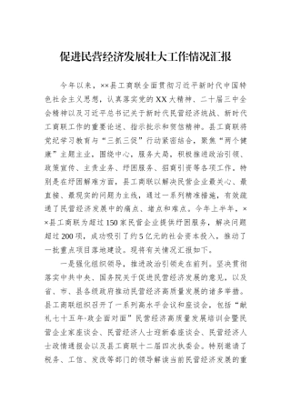 促进民营经济发展壮大工作情况汇报