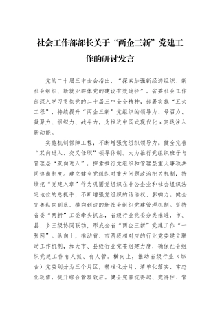 社会工作部部长关于“两企三新”党建工作的研讨发言