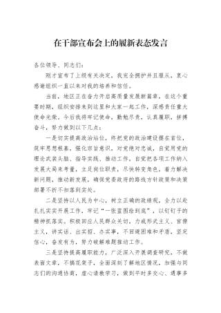在干部宣布会上的履新表态发言