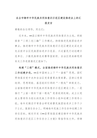 在全市铸牢中华民族共同体意识示范区建设推进会上的汇报发言