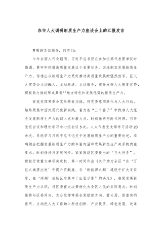 在市人大调研新质生产力座谈会上的汇报发言