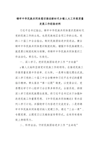 铸牢中华民族共同体意识推动新时代乡镇人大工作高质量发展工作经验材料