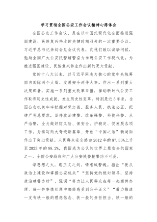 学习贯彻全国公安工作会议精神心得体会