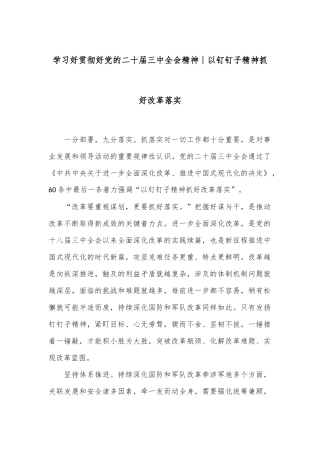 学习好贯彻好党的二十届三中全会精神丨以钉钉子精神抓好改革落实