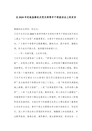 在2024年纪检监察机关党支部青年干部座谈会上的发言