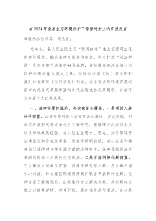 在2024年全县生态环境保护工作推进会上的汇报发言