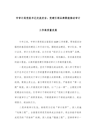 市审计局党组书记交流发言：党建引领 品牌聚能 推动审计工作高质量发展