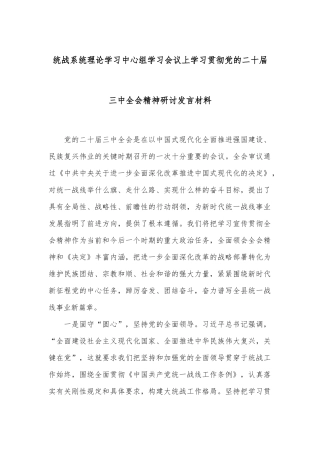 统战系统理论学习中心组学习会议上学习贯彻党的二十届三中全会精神研讨发言材料