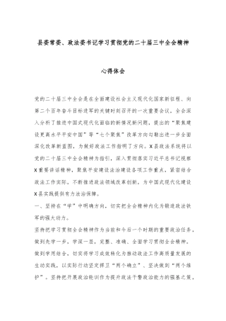 县委常委、政法委书记学习贯彻党的二十届三中全会精神心得体会