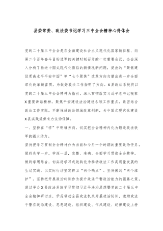 县委常委、政法委书记学习三中全会精神心得体会
