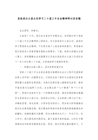 县政府办公室主任学习二十届三中全会精神研讨发言稿