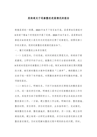 某街道关于巡察整改进展情况的报告