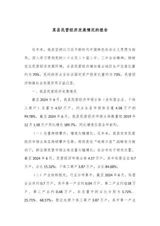 某县民营经济发展情况的报告