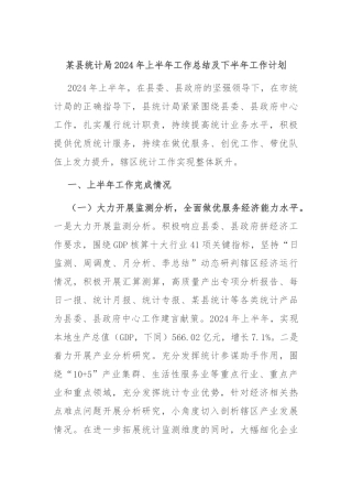 某县统计局2024年上半年工作总结及下半年工作计划