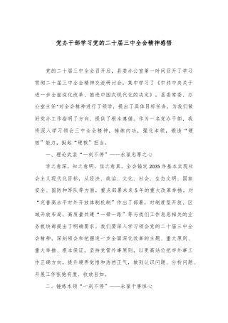 党办干部学习党的二十届三中全会精神感悟