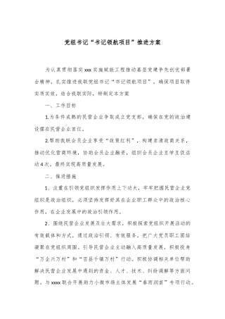 党组书记“书记领航项目”推进方案