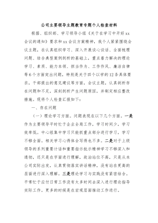 公司主要领导主题教育专题个人检查材料