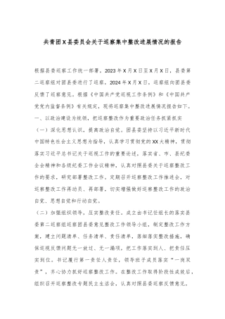 共青团X县委员会关于巡察集中整改进展情况的报告