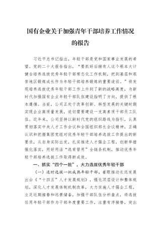 国有企业关于加强青年干部培养工作情况的报告