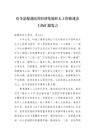 在全县促进民营经济发展壮大工作推进会上的汇报发言