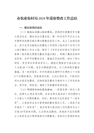 市农业农村局2024年巡察整改工作总结