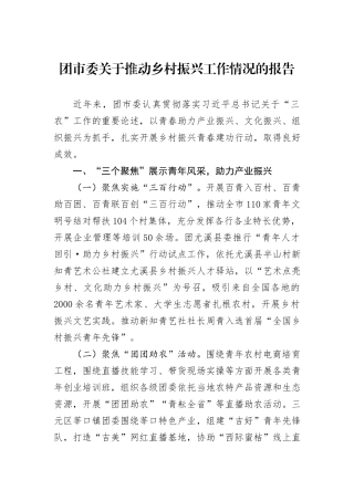团市委关于推动乡村振兴工作情况的报告