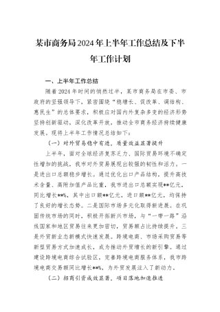 某市商务局2024年上半年工作总结及下半年工作计划