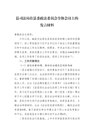 县司法局在县委政法委员会全体会议上的发言材料
