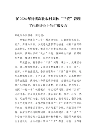 在2024年持续深化农村集体“三资”管理工作推进会上的汇报发言