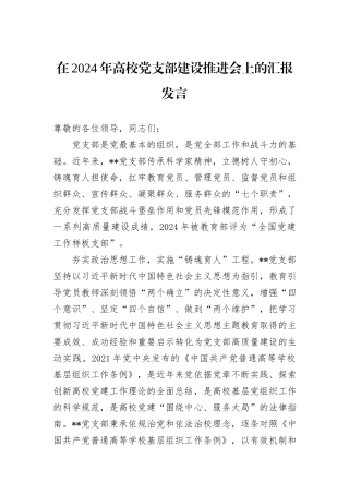在2024年高校党支部建设推进会上的汇报发言
