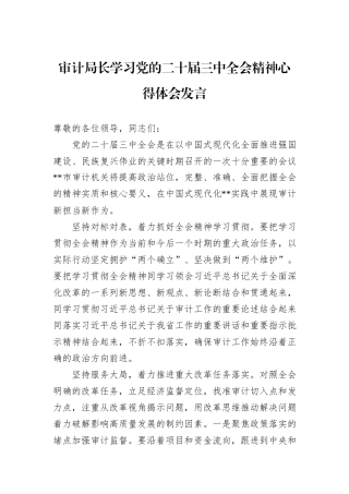 审计局长学习党的二十届三中全会精神心得体会发言