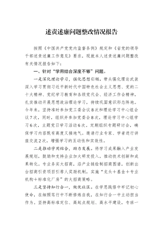 述责述廉问题整改情况报告