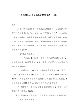 （6篇）有关商务工作自查报告材料合集