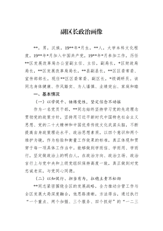 副区长政治画像