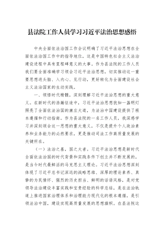 县法院工作人员学习习近平法治思想感悟