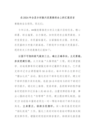 在2024年全县乡村振兴发展推进会上的汇报发言