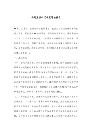 县局党组书记年度述法报告