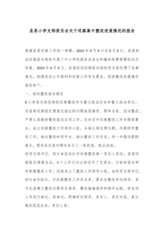 县某小学支部委员会关于巡察集中整改进展情况的报告