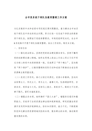 全市某系统干部队伍教育整顿工作方案