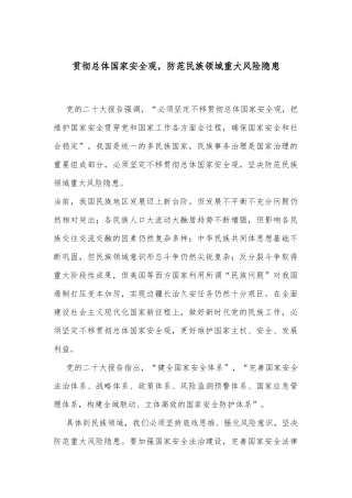 贯彻总体国家安全观，防范民族领域重大风险隐患