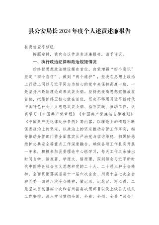 县公安局长2024年度个人述责述廉报告