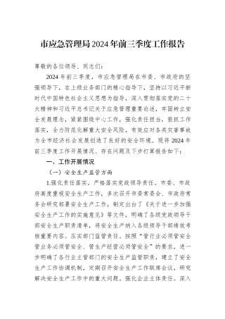 市应急管理局2024年前三季度工作报告