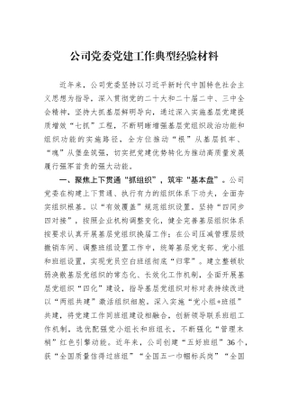 公司党委党建工作典型经验材料